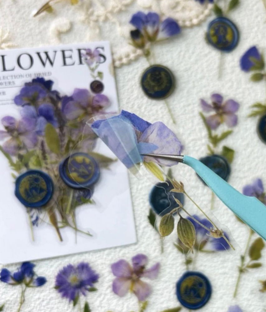 ملصقات الورود البنفسجية